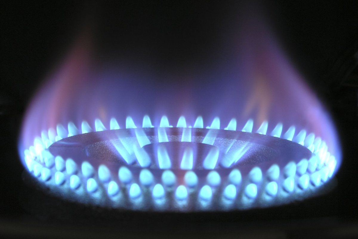 Blue gas burner flames on a furnace